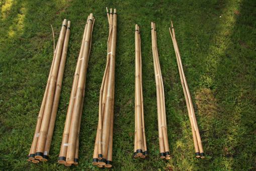 Bambusstange 3 - 8 m 4m